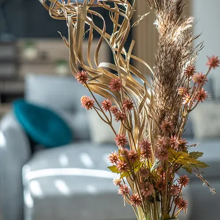 Casa de Férias L's-kal-56, Design Et Cosy ! *