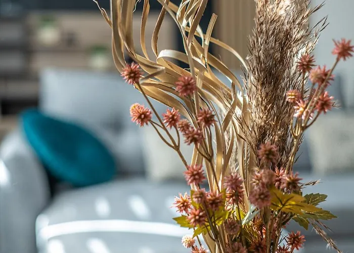 度假居 L's-kal-56, Design Et Cosy ! *